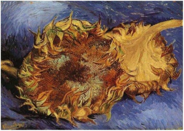 Two Cut Sunflowers by Vincent Van Gogh