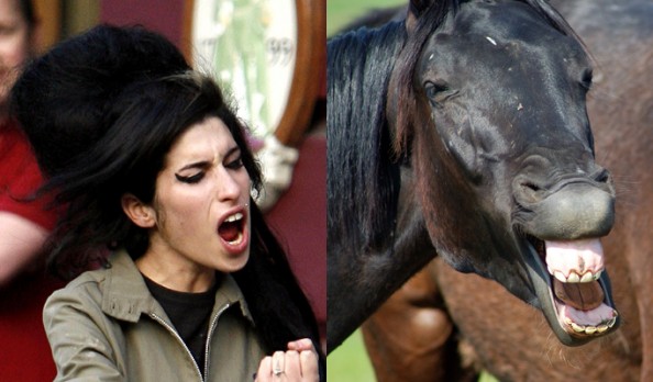 Amy Winehouse Horse Face