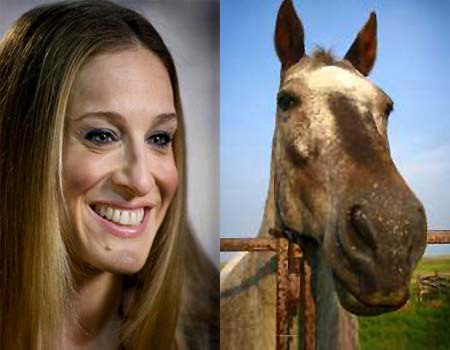 Sarah-Jessica Parker Horse Face