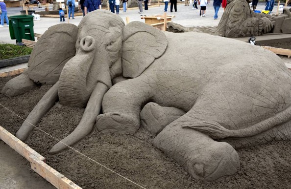 Elephant Soft Pack Sculpted by Paul Hoggard