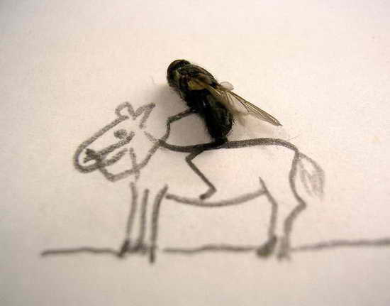 Horseback Riding Dead Fly Art by Magnus Muhr