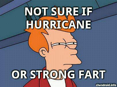 Hurricane Irene Fry Dilemma