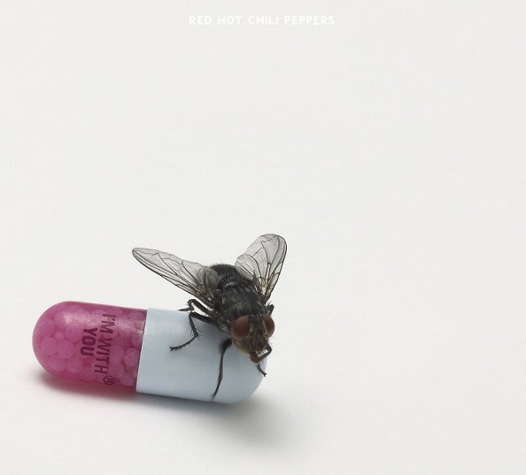I'm With You Red Hot Chili Peppers Album Cover Art