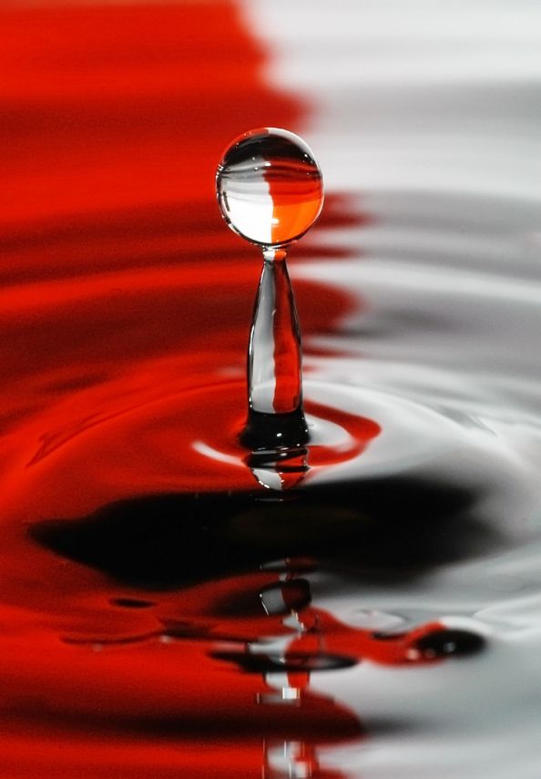 Red Water Drop by Jonny Jelinek