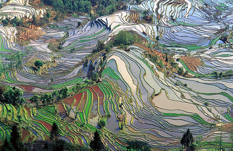 Natural Wonders China Colored Fields of Yunnan
