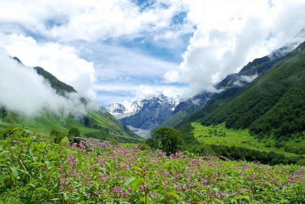 Natural Wonders India Valley of Flowers