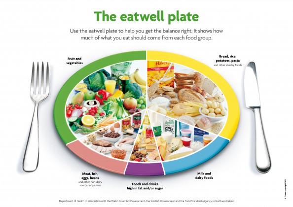 The eatwell plate review you eating habits