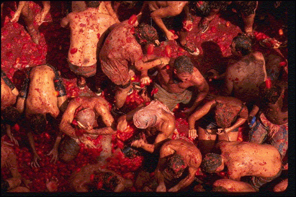 Tomatina Throwing Tomatoes Festival Spain Bunol Valencia