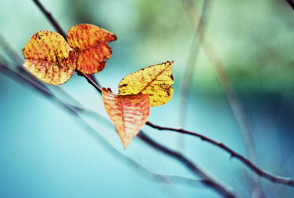Songs about autumn