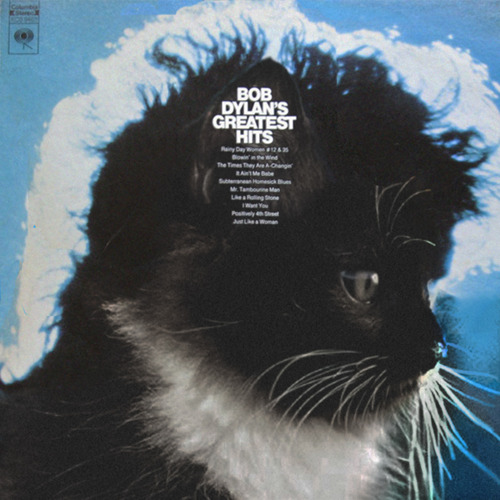 Kitten Covers Bob Dylan Greatest