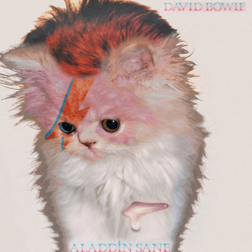 Kitten Covers David Bowie