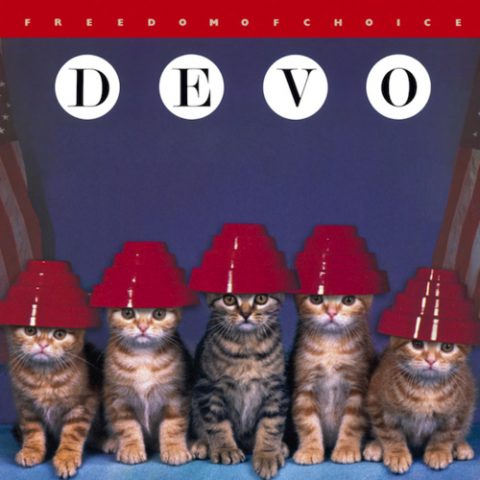 Kittens on Legendary Album Covers - Mole Empire