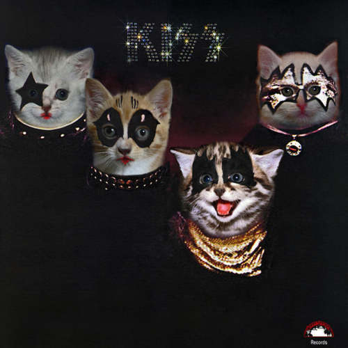 Kitten Covers Kiss Kittenmind and Hiss