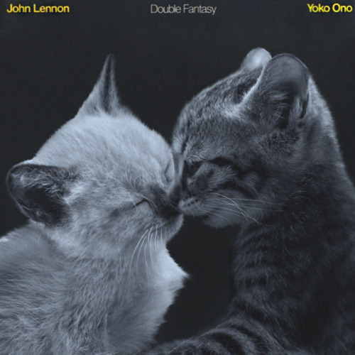 Kitten Covers Lennon Double Fantasy