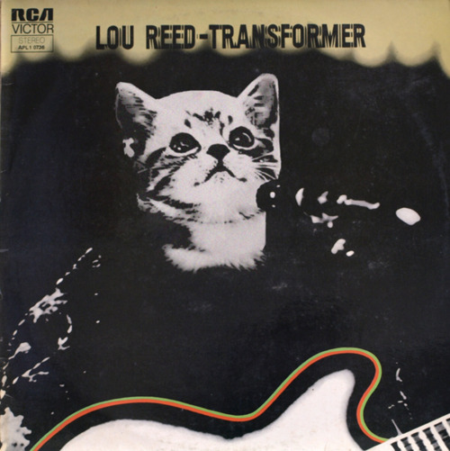 Kitten Covers Lou Reed Transformer
