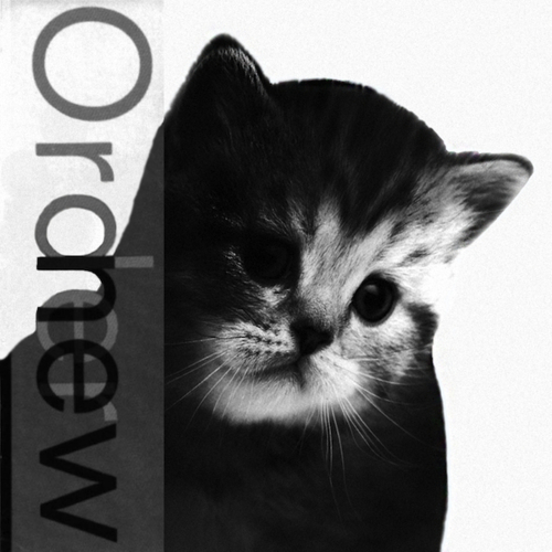 Kitten Covers Mew Order