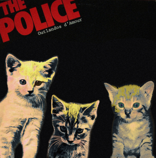 Kitten Covers The Police