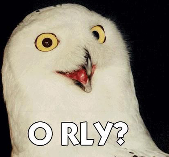 O RLY Owl