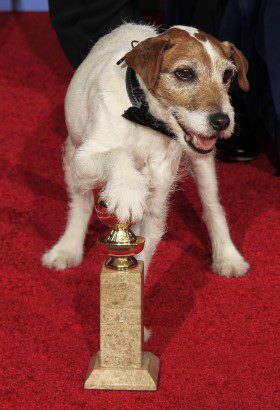 Uggie, the dog from The Artist at the Golden Globes