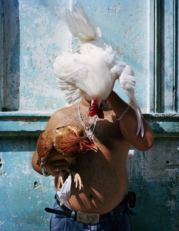 Cuba_Authentic_Chicken