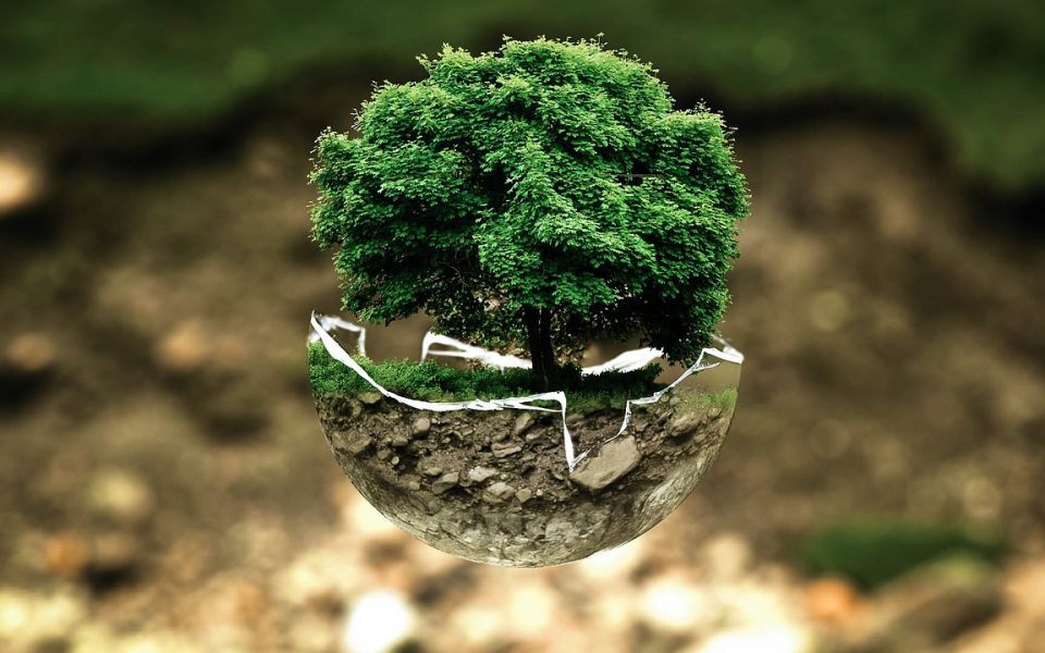 Eco