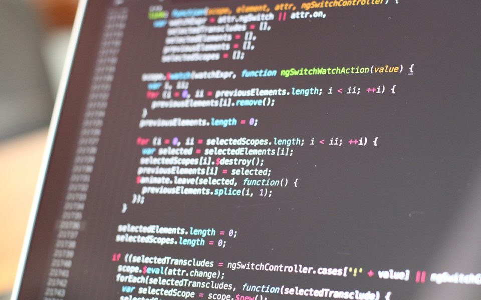 Web Development