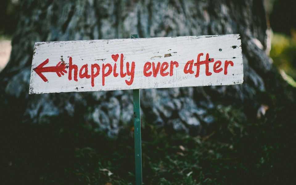 The Perfect Day