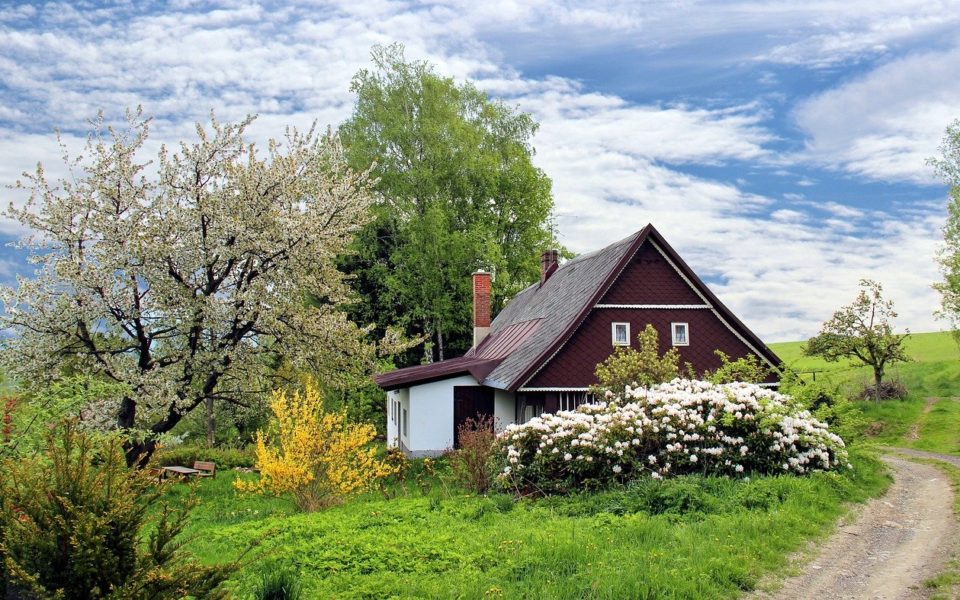 Home Purchase